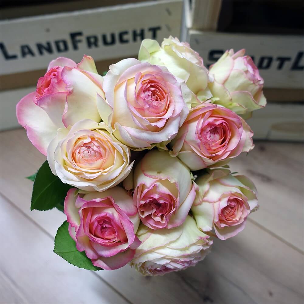 Rosenstrauß, rosa