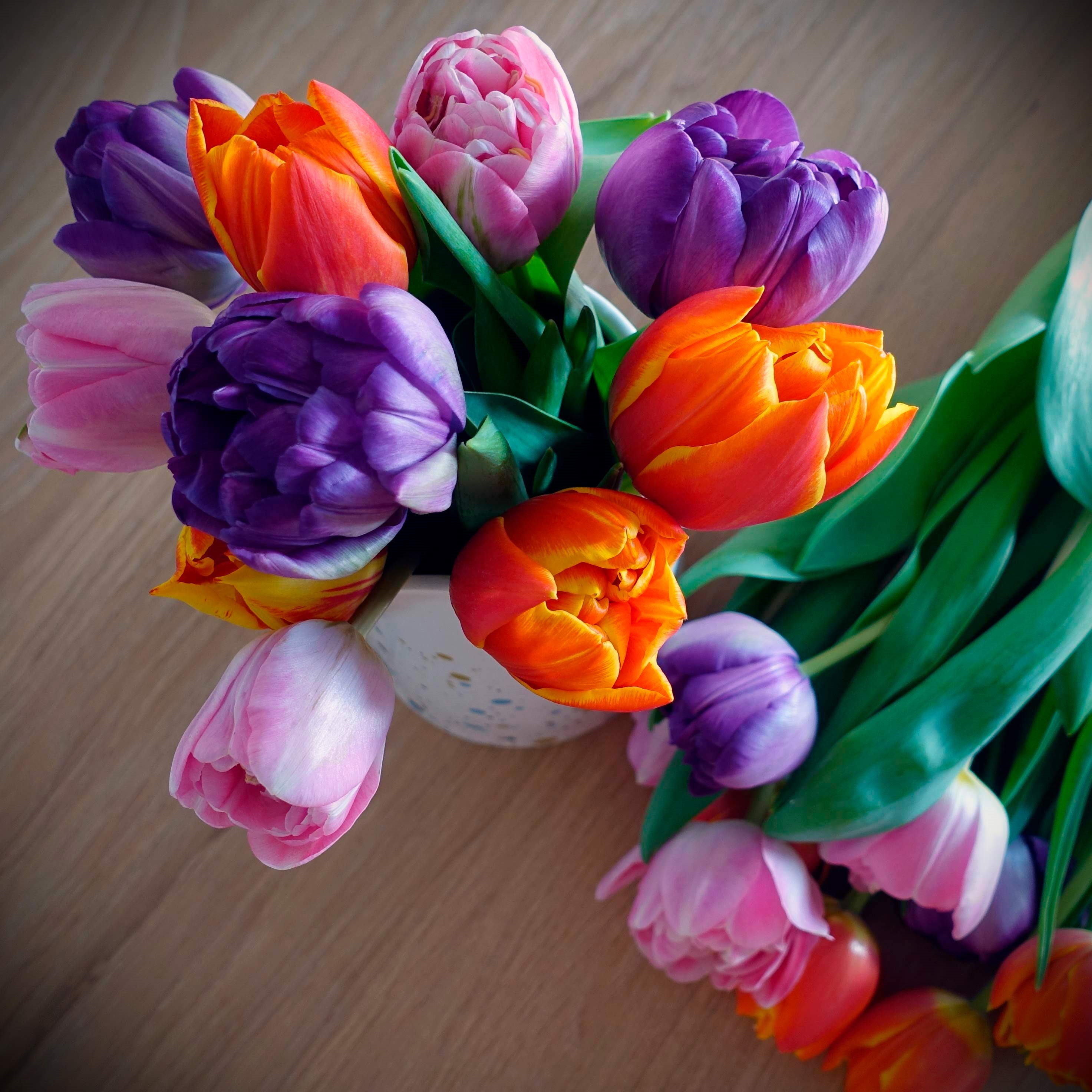 Tulpenstrauß bunter Mix