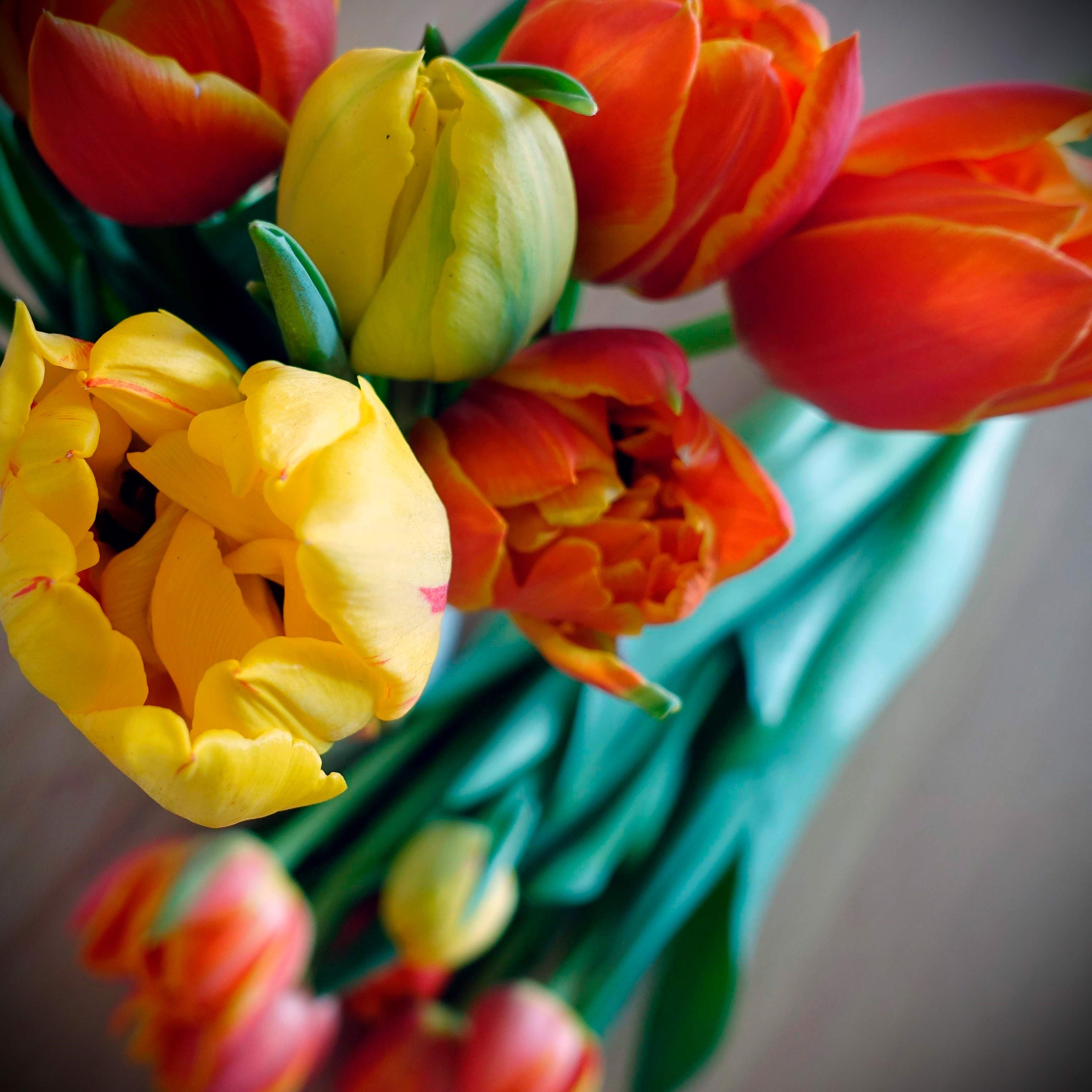 Tulpenstrauß gelb/orange
